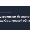 Девять украинских беспилотников сбили над Смоленской областью