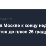 Воздух в Москве к концу недели прогреется до плюс 26 градусов