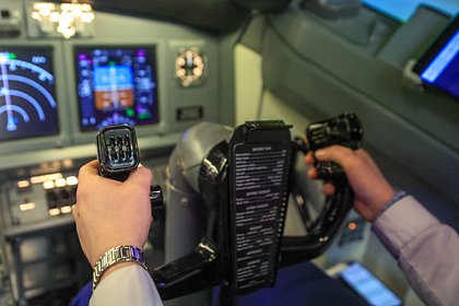 Самолет на российскую трассу посадил директор подшипникового завода