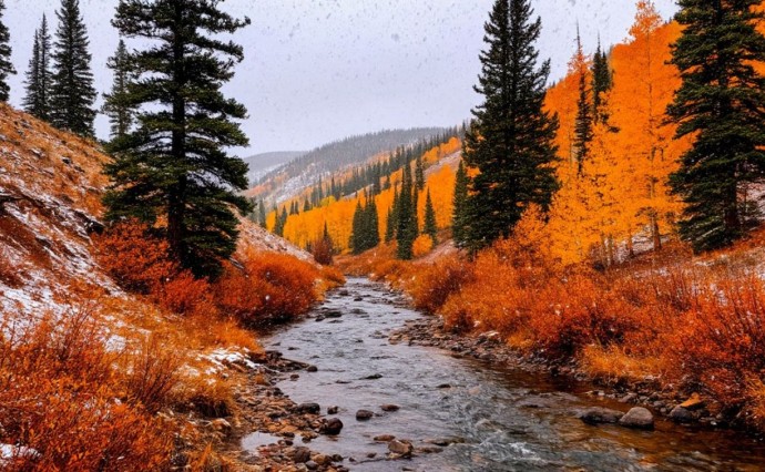 На юге – дождь, на севере – снег: прогноз погоды в Сахалинской области на понедельник, 20 октября На юге – дождь, на севере – снег: прогноз погоды в Сахалинской области на понедельник, 20 октября