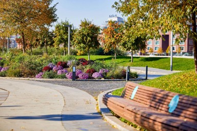 Как городским цветам помогают пережить зиму