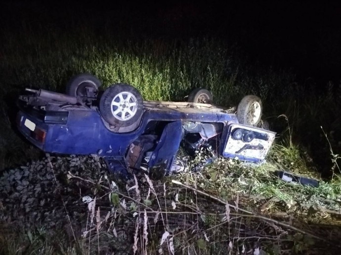 В Кикнурском районе «семерка» врезалась в лося и опрокинулась