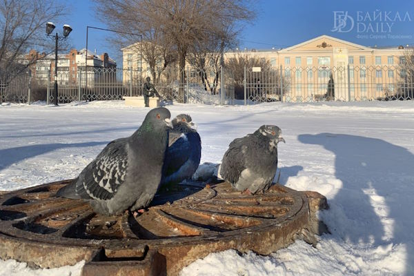 В Бурятии ветер усилится до 14 м/с