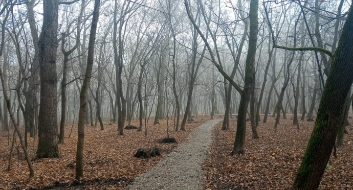 Опасно: жителей Башкирии призвали к осторожности Опасно: жителей Башкирии призвали к осторожности