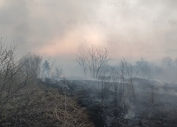 В амурском селе вспыхнула сухая трава В амурском селе вспыхнула сухая трава