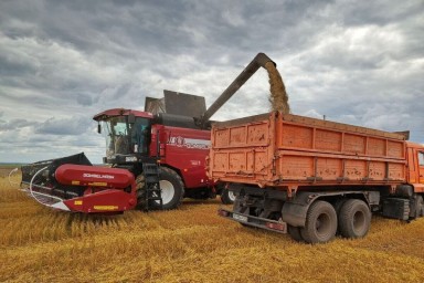 Уборочная страда в Ибресинском округе: собрано уже более половины урожая