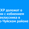 Главе СКР доложат о ситуации с избиением младшеклассника в Мамско-Чуйском районе