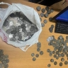 В Благовещенске задержан «турист», продававший людям поддельные старинные монеты...