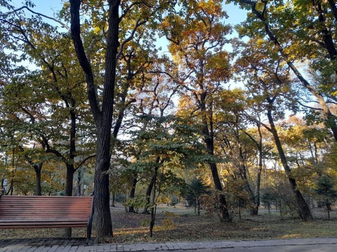 Последний день октября во Владивостоке будет последним тёплым днём осени?