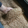 Поставщиков продуктов защитят от произвола торговых сетей