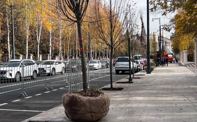 В Уфе собираются посадить 1,5 тыс. деревьев