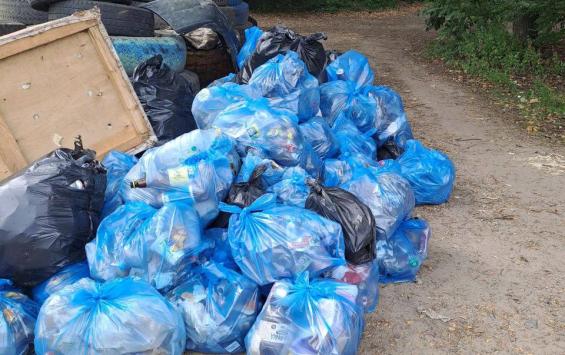 В Курске из урочища Крутой Лог вывезут свалку мусора