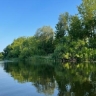 В Курске на Ермошкином озере спасли 5-летнюю девочку и 18-летнего парня