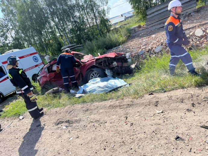 Опубликованы ужасающие фото с места смертельного ДТП под Пензой