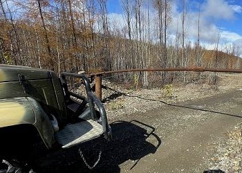 В Приамурье предприятие оборудовало нелегальный КПП в лесу