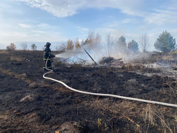 В селе под Пензой полыхнула сухая трава В селе под Пензой полыхнула сухая трава