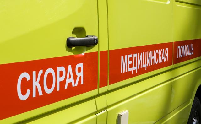 В Башкирии бешеная рысь напала на ребенка в детском лагере