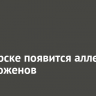В Ангарске появится аллея молодоженов