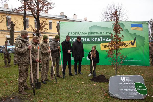 Украину объявили «Зеленой страной»: В Киеве доложили о высадке миллиарда деревьев