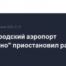 Нижегородский аэропорт "Стригино" приостановил работу