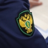 Прокуратура Невского района выявила нарушения в содержании объекта культурного наследия