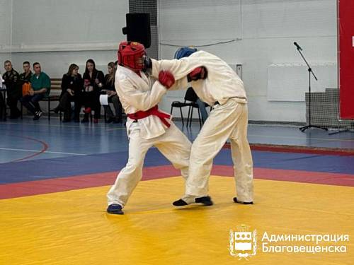 Турнир по рукопашному бою провели в Благовещенске Турнир по рукопашному бою провели в Благовещенске