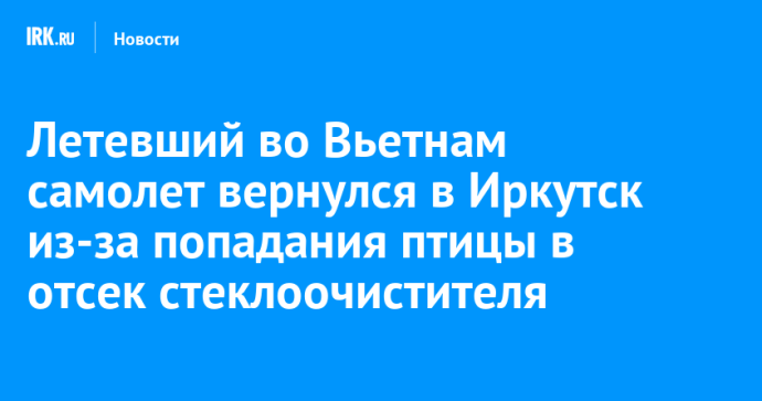 Летевший во Вьетнам самолет вернулся в Иркутск из-за попадания птицы в отсек стеклоочистителя