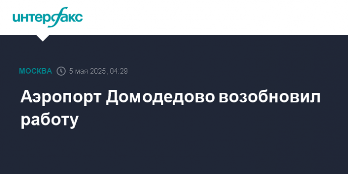 Аэропорт Домодедово возобновил работу