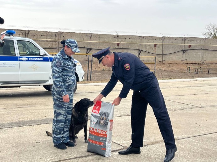 Около 60 раскрытий: в Астрахани полицейские проводили на пенсию Алькапоне Около 60 раскрытий: в Астрахани полицейские проводили на пенсию Алькапоне