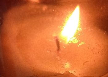 Благовещенцев зовут присоединиться ко всероссийской акции «Свеча памяти»