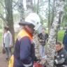 Новгородские спасатели помогли ребёнку, который застрял между деревьев