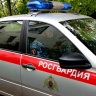 В Саранске росгвардейцы задержали нетрезвого несовершеннолетнего водителя