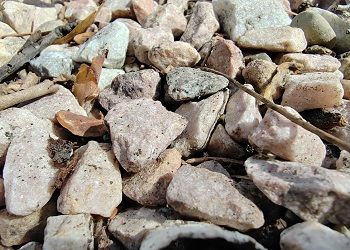 В Приамурье компания устроила карьер на сельхозучастке В Приамурье компания устроила карьер на сельхозучастке