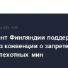 Парламент Финляндии поддержал выход из конвенции о запрете противопехотных мин