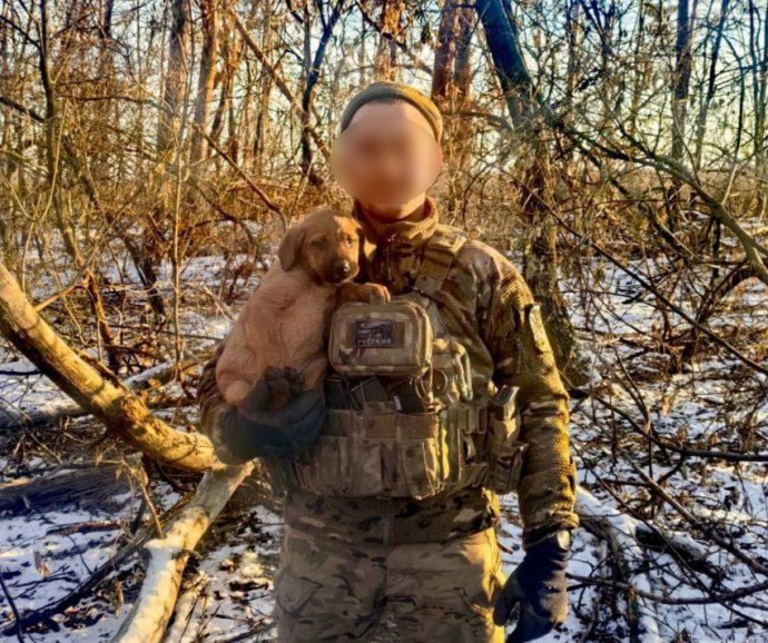 Боец из Бурятии уничтожил на СВО схрон с украинскими боеприпасами Боец из Бурятии уничтожил на СВО схрон с украинскими боеприпасами
