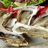 В Госдуме предложили отменить льготные налоги на устрицы