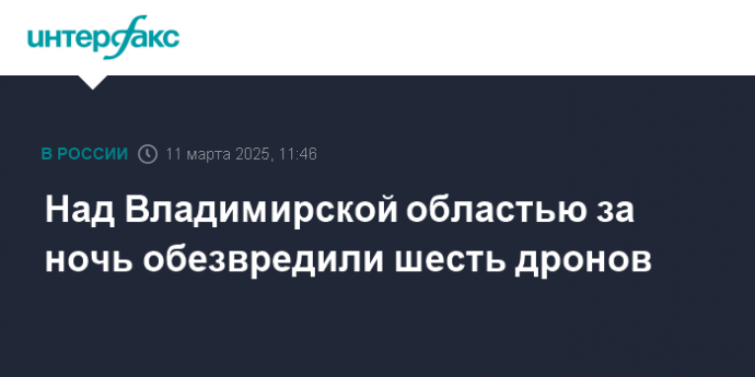 Над Владимирской областью за ночь обезвредили шесть дронов