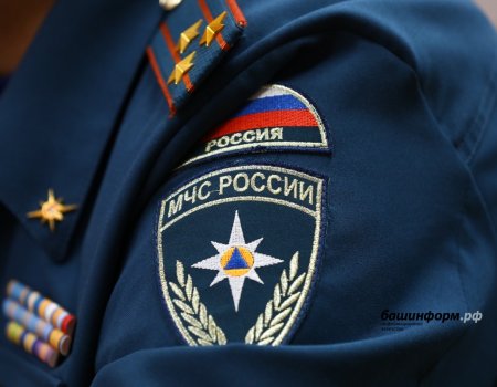 Жителям Башкирии посоветовали держать дома «экстренных» помощников Жителям Башкирии посоветовали держать дома «экстренных» помощников