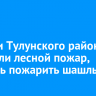 Жители Тулунского района устроили лесной пожар, пытаясь пожарить шашлык