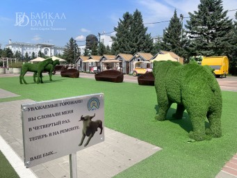Улан-удэнцев призвали не пакостить в зоне отдыха с топиариями