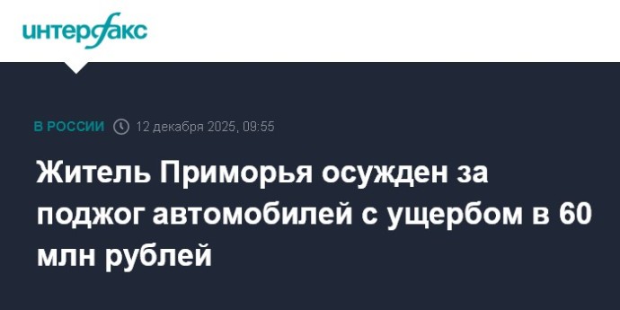 Житель Приморья осужден за поджог автомобилей с ущербом в 60 млн рублей