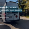 Новости Петербурга: Итоги недели