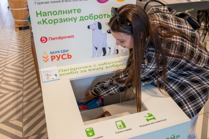 200 новых магазинов и 20 приютов: «Пятёрочка» в 2 раза увеличила число корзин для сбора корма бездомным животным