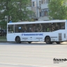 Дети участников СВО из Башкирии смогут бесплатно ездить в транспорте