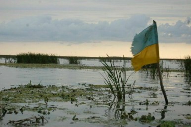 Bloomberg: Украине придется уступить Донбасс