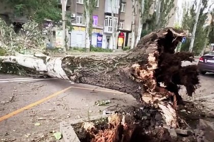 Жители Донецка остались без света из-за урагана