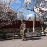 Возможность вывода ВСУ с территории ДНР оценили