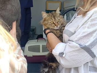 В Белгороде заработают бесплатные передвижные пункты вакцинации домашних животных