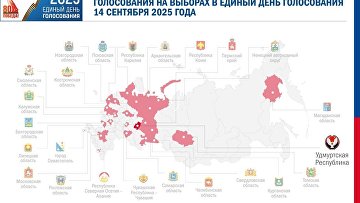 ЦИК согласовала проведение в Удмуртии дистанционного электронного голосования