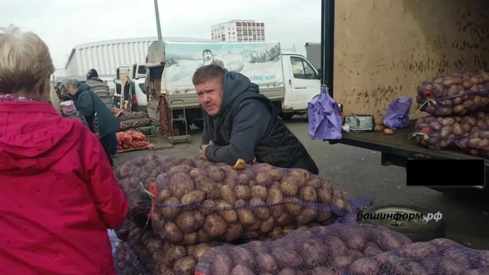 Жителей 37 городов и районов Башкирии ждут на сельхозярмарках